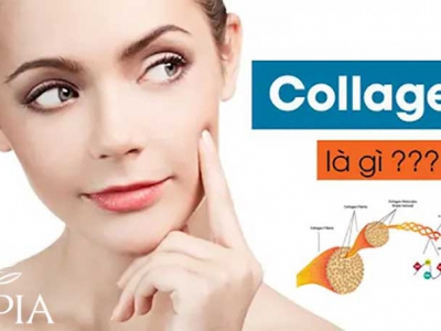 Collagen là gì? Cách bổ sung collagen hiệu quả 